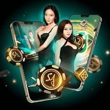 bet905